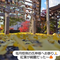 画像456