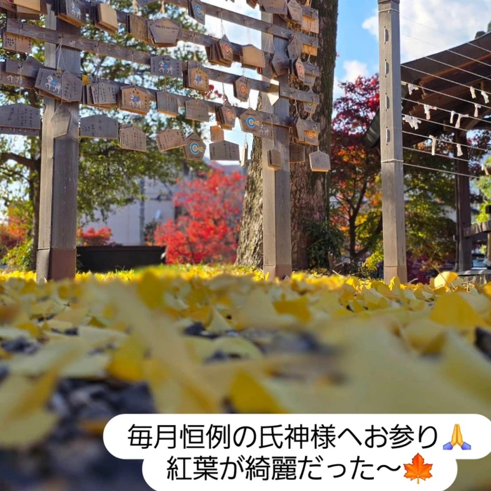 画像456