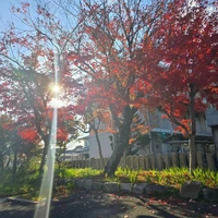画像457